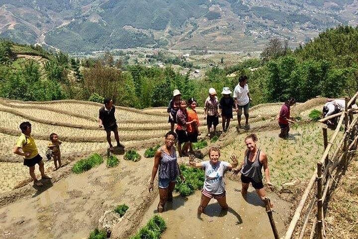 Sapa Day Trek: Lao Chai & Ta Van Rice Terraces Village Walk photo 4