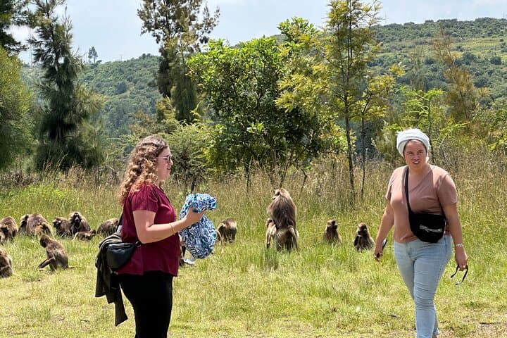 Debre Libanos & Portuguese Bridge Day Tour: Monastery, Jemma Gorge & Waterfalls from Addis photo 1