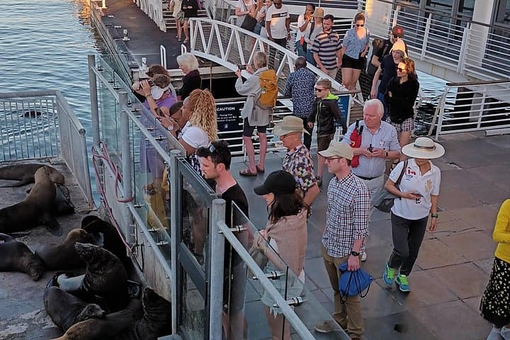 Robben Island & Long March to Freedom Tour — Cape Town History by Ferry photo 4