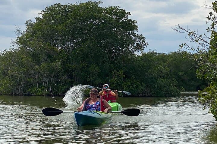 Banana River Manatee and Dolphin Kayak Tour — Cocoa Beach Ecological Paddle photo 6