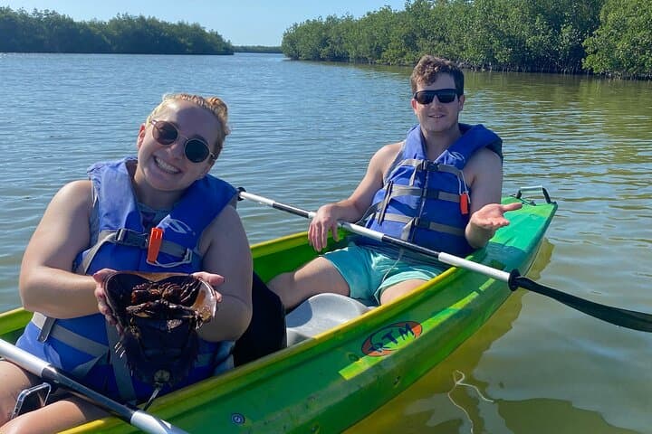 Banana River Manatee and Dolphin Kayak Tour — Cocoa Beach Ecological Paddle photo 5