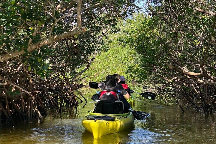 Banana River Manatee and Dolphin Kayak Tour — Cocoa Beach Ecological Paddle