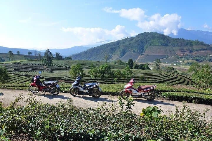 Motorbike Through Sa Pa: Private Guided Tour with Local Lunch photo 3