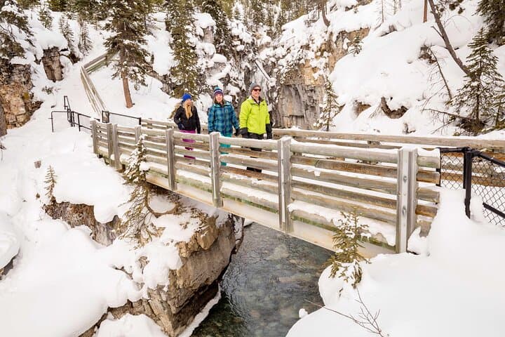 Icewalks at Marble and Johnston Canyons: Banff to Kootenay One-Day Combo