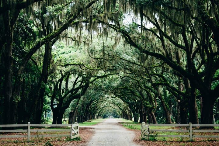 Explore Savannah’s Iconic Film Locations: A Private Full-Day Tour