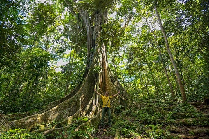 3-Day Pacaya Samiria Lodge: Amazon Wildlife, Fishing & Medicinal Plants photo 1
