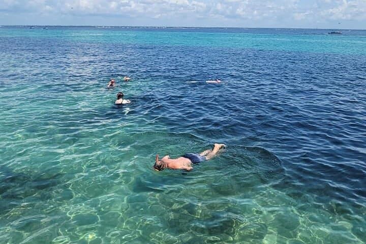 Snorkel with Dolphins off Fort Walton Beach: Family-Friendly Emerald Coast Catamaran photo 4