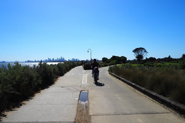 Fat-Tyre E‑Bike Rentals on Melbourne’s Bay — Brighton Beach Ride photo 6