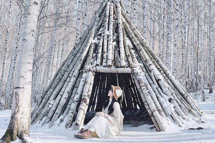 Wondae-ri Birch Forest & Inje Maebawi Icewall: Full-Day Winter Forest Walk from Seoul