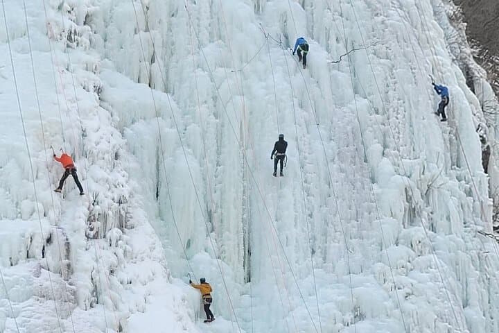 Wondae-ri Birch Forest & Inje Maebawi Icewall: Full-Day Winter Forest Walk from Seoul photo 4