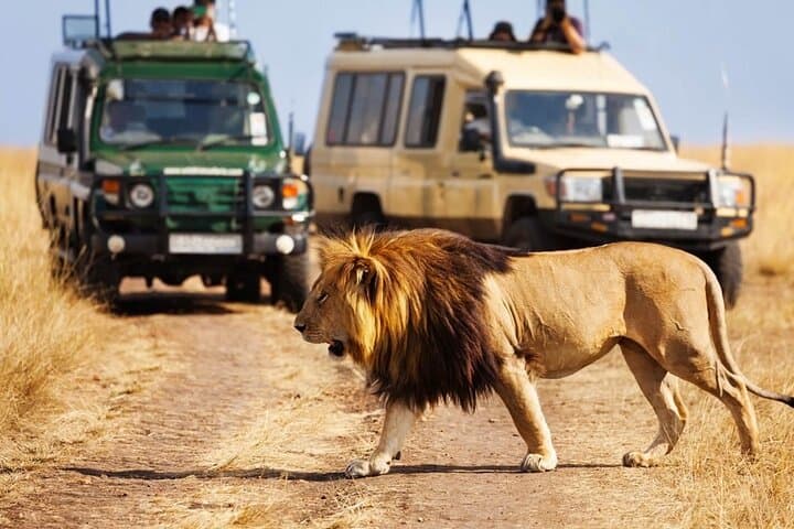 4-Day Luxury Safari Through Tarangire, Serengeti & Ngorongoro Crater