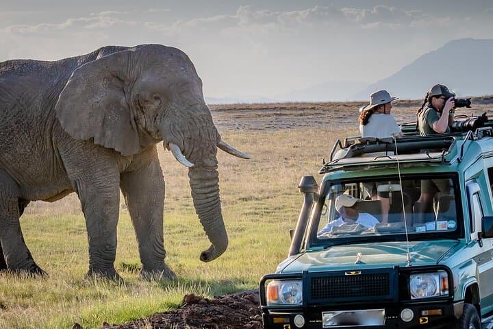 4-Day Luxury Safari Through Tarangire, Serengeti & Ngorongoro Crater photo 4
