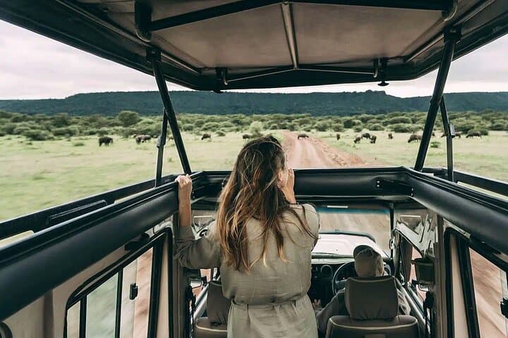 4-Day Luxury Safari Through Tarangire, Serengeti & Ngorongoro Crater photo 5