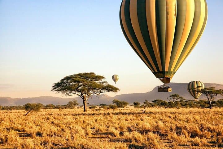 Tracking the Great Wildebeest Migration: 8-Day Private Serengeti & Ngorongoro Safari photo 3