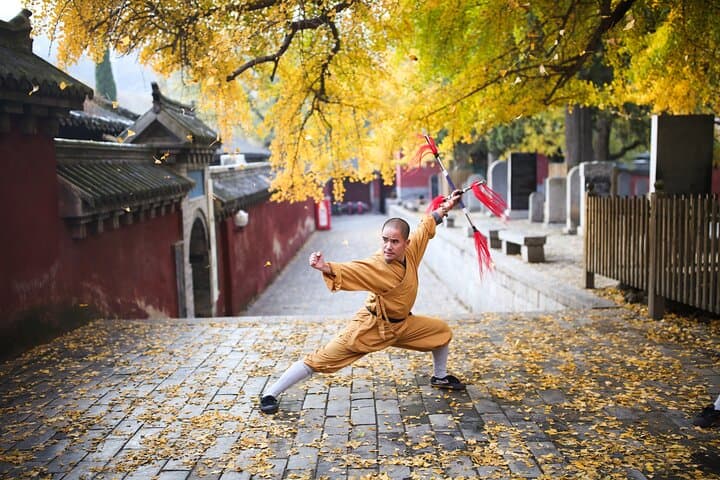 Half-Day Shaolin Temple Tour & Kung Fu Show from Zhengzhou photo 5