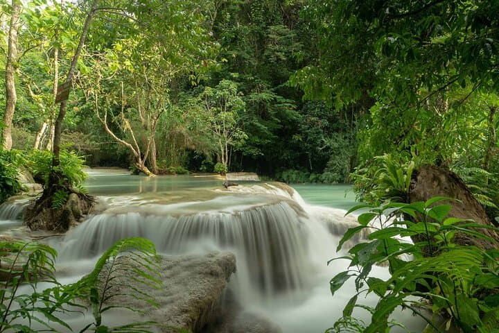 Kuang Si Waterfall Zipline & Tree Top Cafe Day Trip from Luang Prabang photo 5