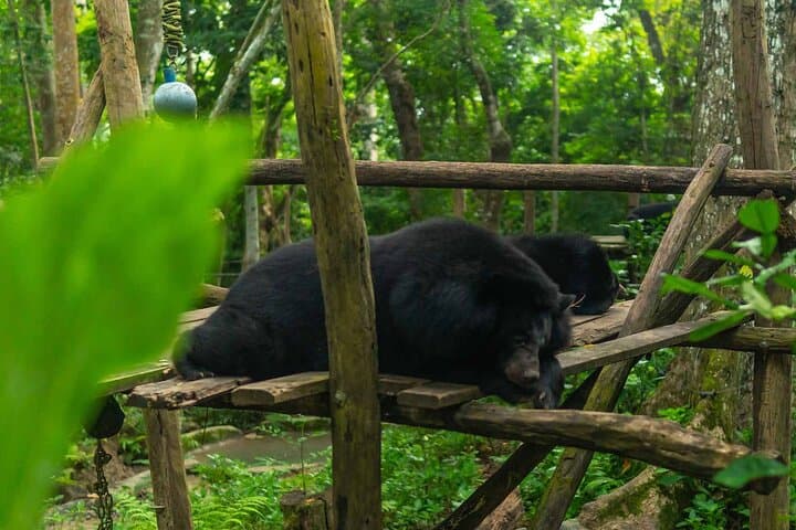 Kuang Si Waterfall Zipline & Tree Top Cafe Day Trip from Luang Prabang photo 6