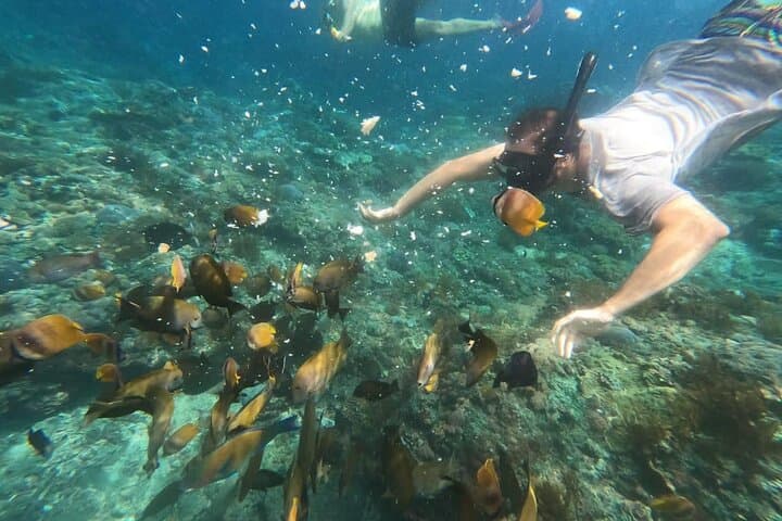Nusa Penida Combo: Kelingking Viewpoint, Broken Beach, Angel's Billabong & Snorkel photo 5