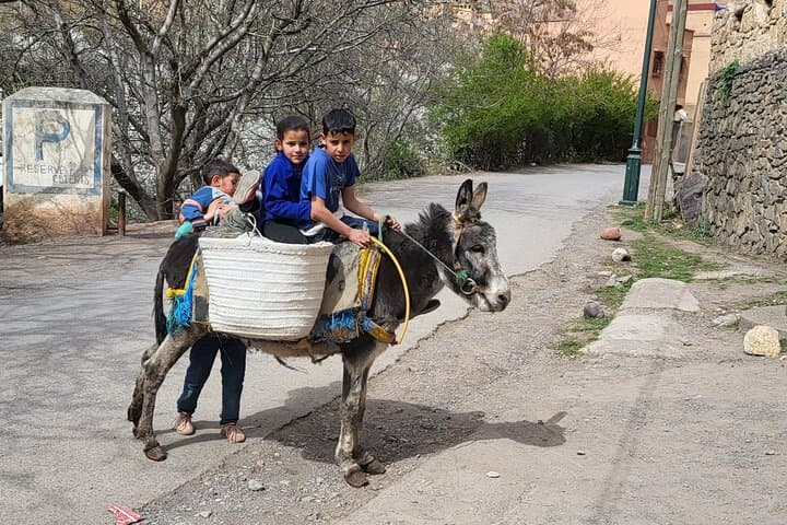 Berber Village Retreat in the Atlas Mountains: Tagine, Waterfalls & Local Hospitality photo 6