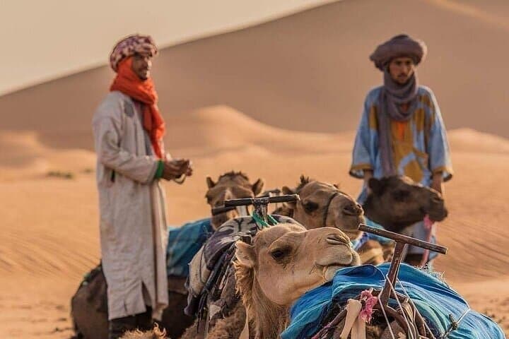 2-Day Luxury Merzouga Desert Tour from Fes — Camel Ride, Dunes & Luxury Camp photo 5