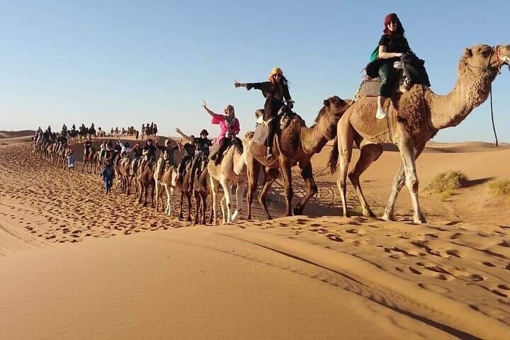 2-Day Luxury Merzouga Desert Tour from Fes — Camel Ride, Dunes & Luxury Camp photo 6