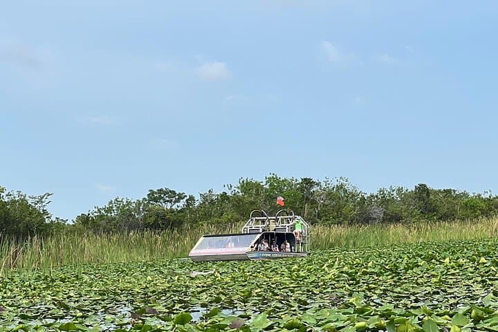 Everglades Small-Group Airboat Tour from Miami — 4–5 Hour Wildlife Experience photo 5