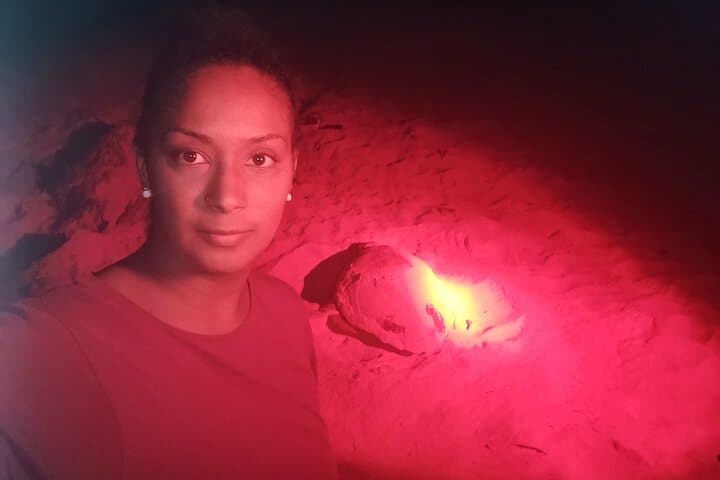 Sea Turtle Nesting Night Watch on Sal Island — Santa Maria Guided Observation photo 5