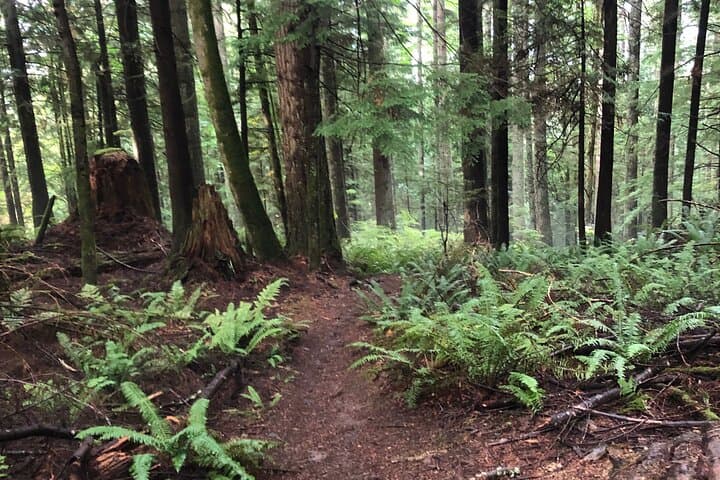 Private Eastside Mountain Biking Tour — Issaquah Trails Near Seattle photo 2