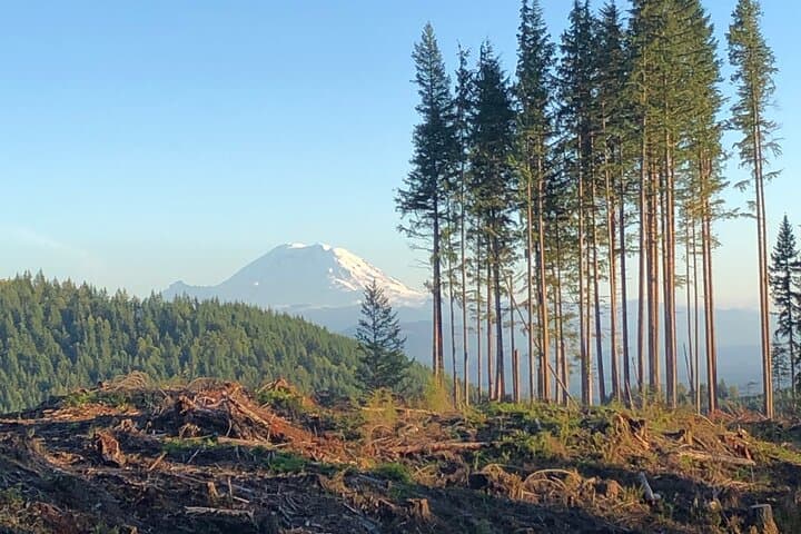 Private Eastside Mountain Biking Tour — Issaquah Trails Near Seattle photo 3