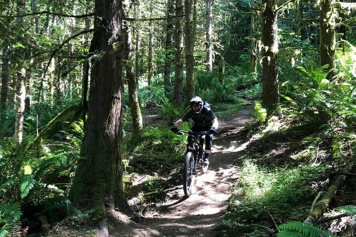 Private Eastside Mountain Biking Tour — Issaquah Trails Near Seattle photo 5