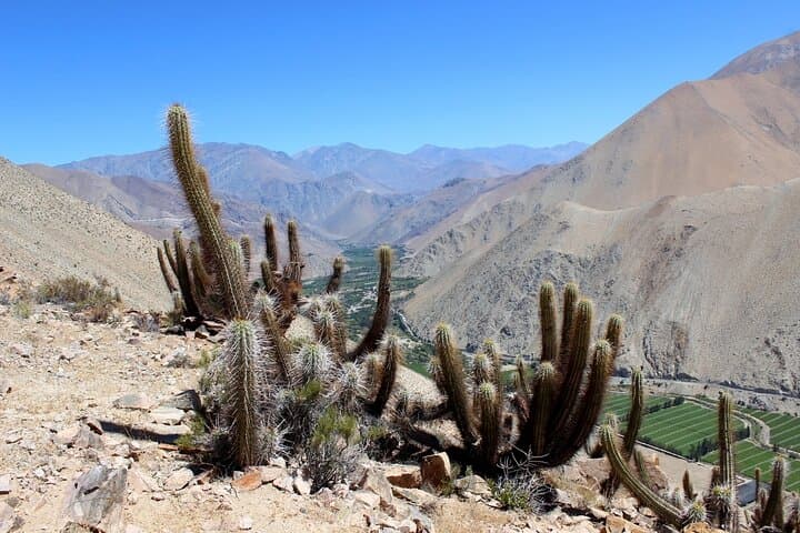 Puritama Canyon & Guatin Trekking — Canyon Walk, Hot Pools & Highland Culture from San Pedro de Atacama photo 4