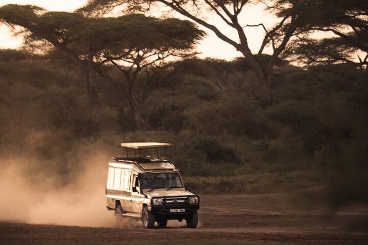 Two-Day Tarangire and Ngorongoro Safari: Big Five & Baobab Plains photo 3