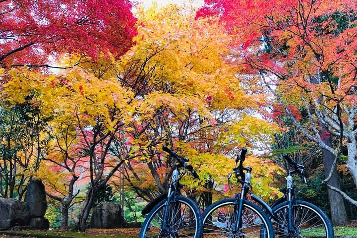 E‑Bike Through Oasa: Half‑Day Countryside Cycling from Hiroshima photo 2