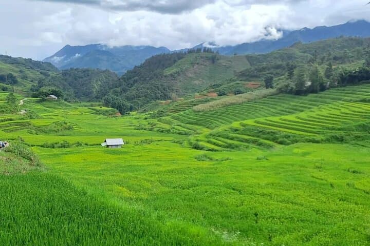 Mai Chau to Pu Luong: 2-Day Trekking and Homestay Adventure from Hanoi photo 4