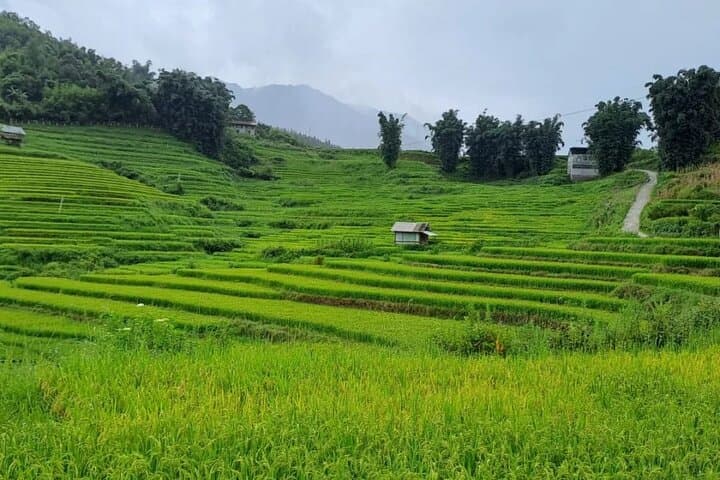 Mai Chau to Pu Luong: 2-Day Trekking and Homestay Adventure from Hanoi photo 5