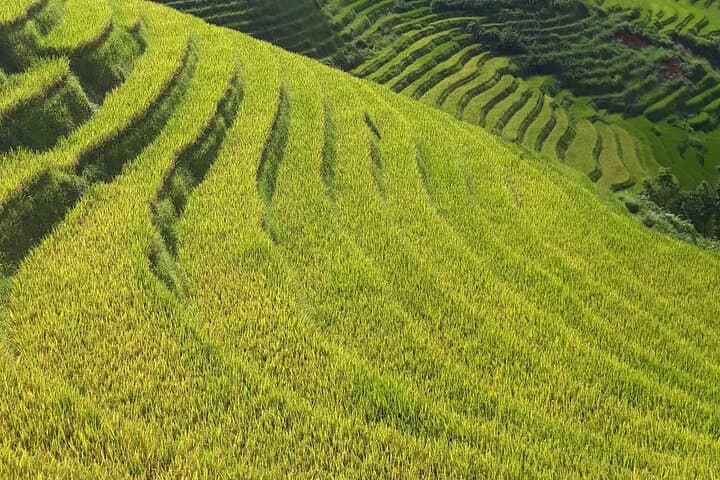 Mai Chau to Pu Luong: 2-Day Trekking and Homestay Adventure from Hanoi
