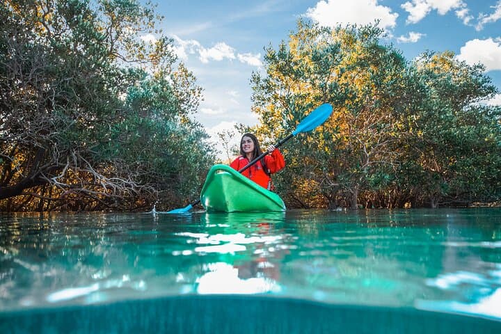 Paddling Al Reem: Mangrove Kayaking Adventure in Abu Dhabi photo 2