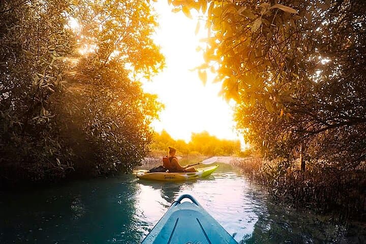 Paddling Al Reem: Mangrove Kayaking Adventure in Abu Dhabi