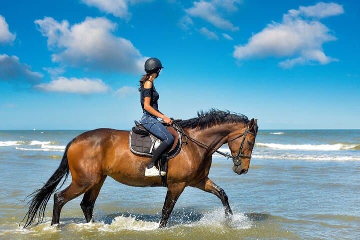Hurghada Beach Horse Riding: One-Hour Red Sea Coastal & Desert Ride photo 1