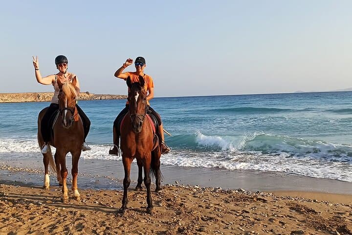 Swim with Horses in Hurghada: Red Sea Horseback Ride & Beach Gallop photo 3