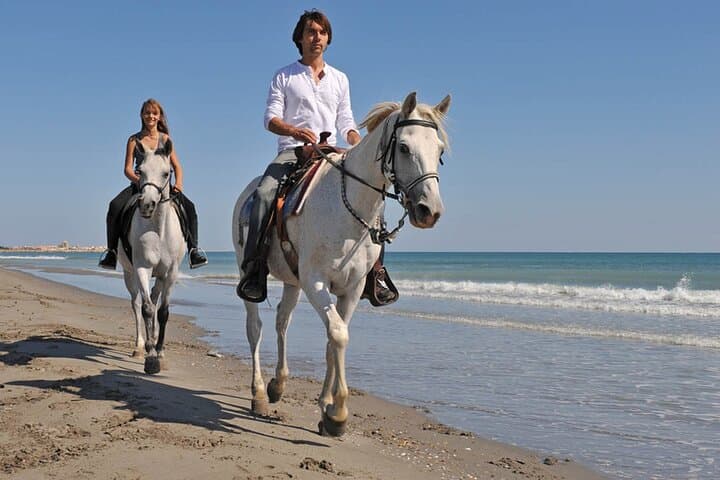 Swim with Horses in Hurghada: Red Sea Horseback Ride & Beach Gallop photo 5