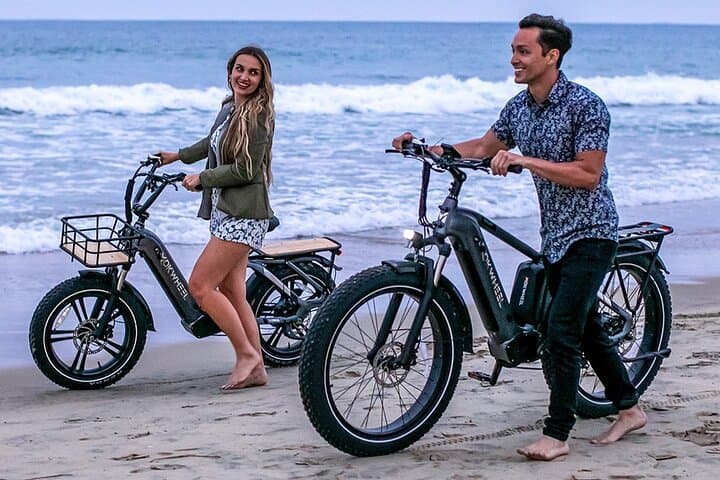 Explore Hilo and the Big Island by Electric Bike: Delivered Rentals for Easy Island Touring