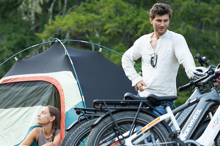 Explore Hilo and the Big Island by Electric Bike: Delivered Rentals for Easy Island Touring photo 2