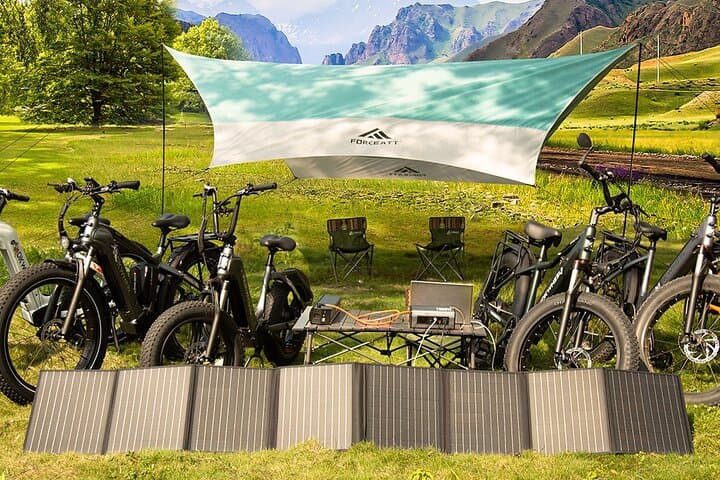 Explore Hilo and the Big Island by Electric Bike: Delivered Rentals for Easy Island Touring photo 3