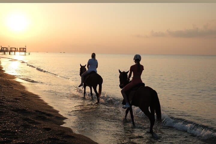 Horseback Riding in Antalya: Lara Beach & Forest Shore Ride
