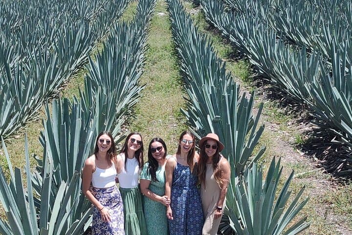 Hierve el Agua and Mezcal Distillery Day Tour from Oaxaca photo 6