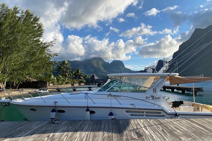 Ariinui Private Full-Day Yacht Whale Watching from Marina Taina, Tahiti photo 4