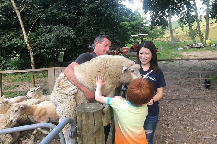 Hands-On New Zealand Sheep Farm Experience with Handmade Wool Hat (North Island) photo 1