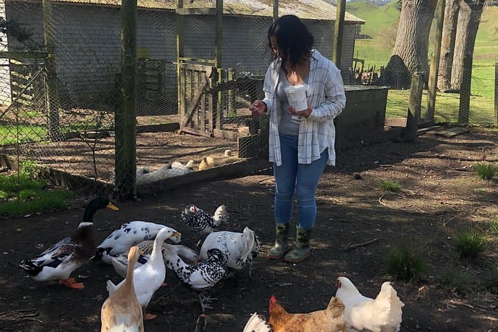 Hands-On New Zealand Sheep Farm Experience with Handmade Wool Hat (North Island) photo 2