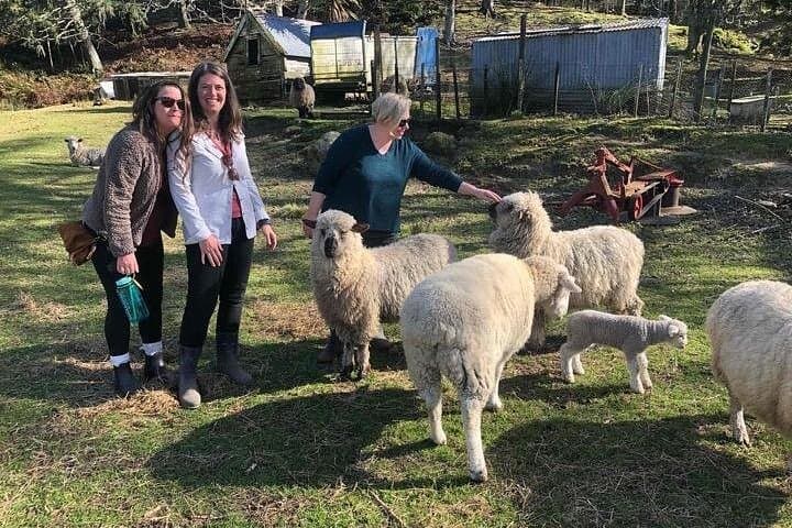 Hands-On New Zealand Sheep Farm Experience with Handmade Wool Hat (North Island) photo 3